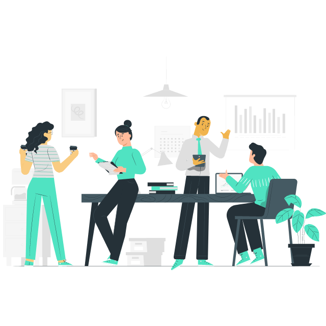 Our execution process illustration